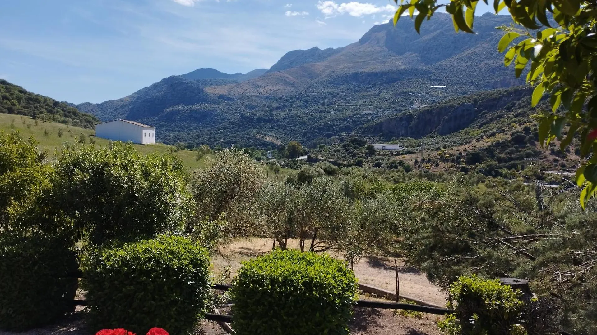 Chalet Posada Del Moral Benaoján